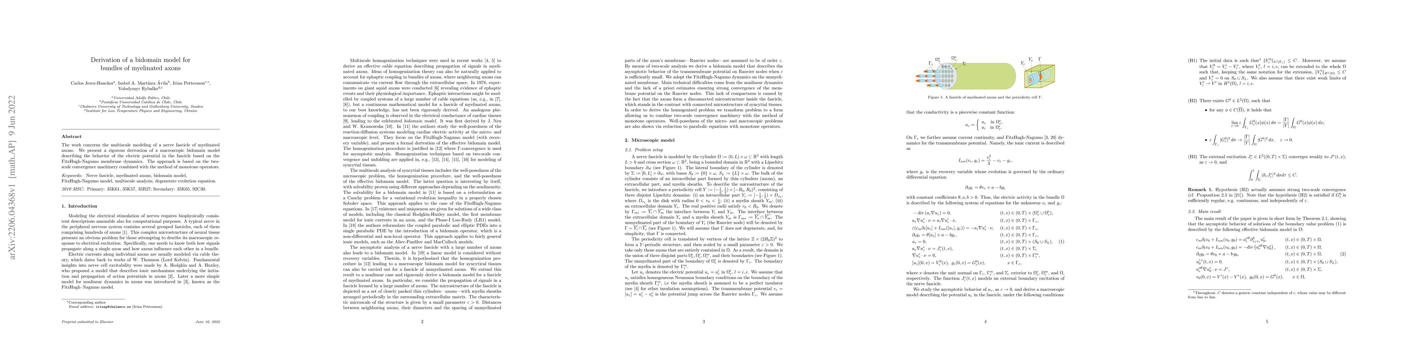 Thumbnail for Derivation of a bidomain model for bundles of myelinated axons