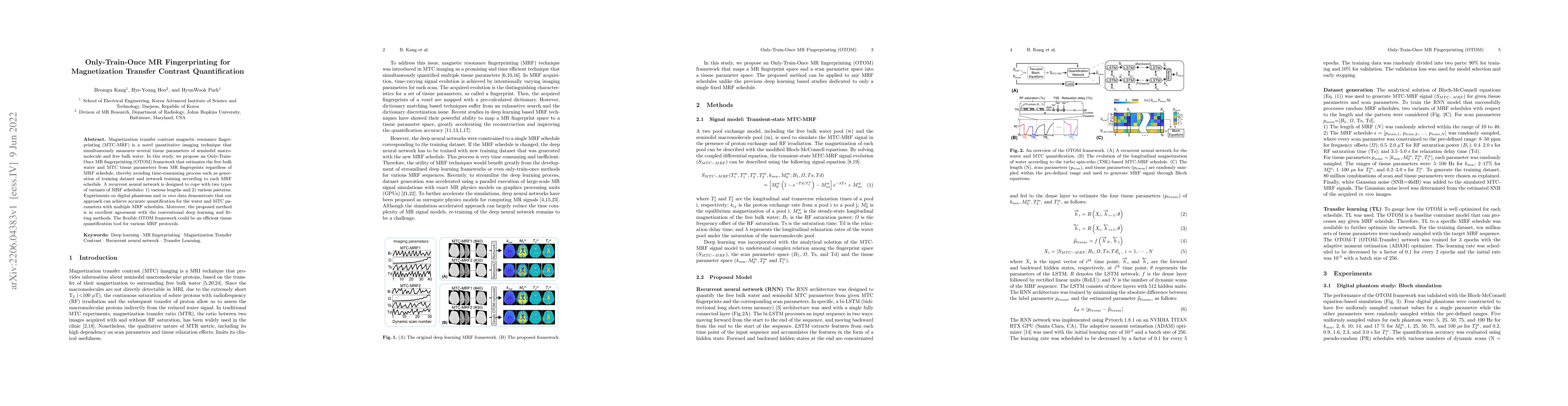 Thumbnail for Only-Train-Once MR Fingerprinting for Magnetization Transfer Contrast
  Quantification