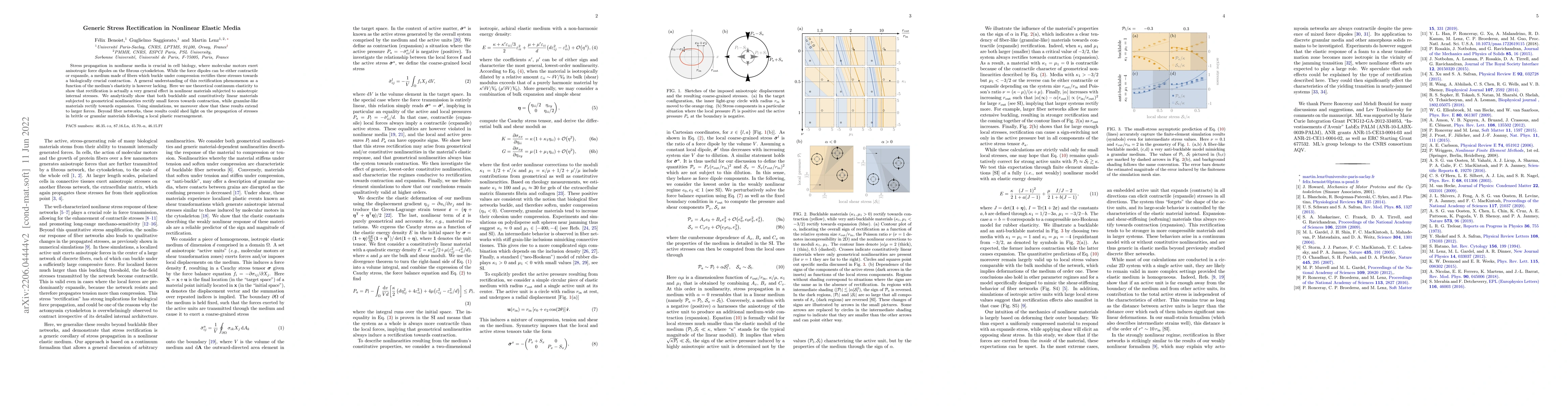 Thumbnail for Generic Stress Rectification in Nonlinear Elastic Media