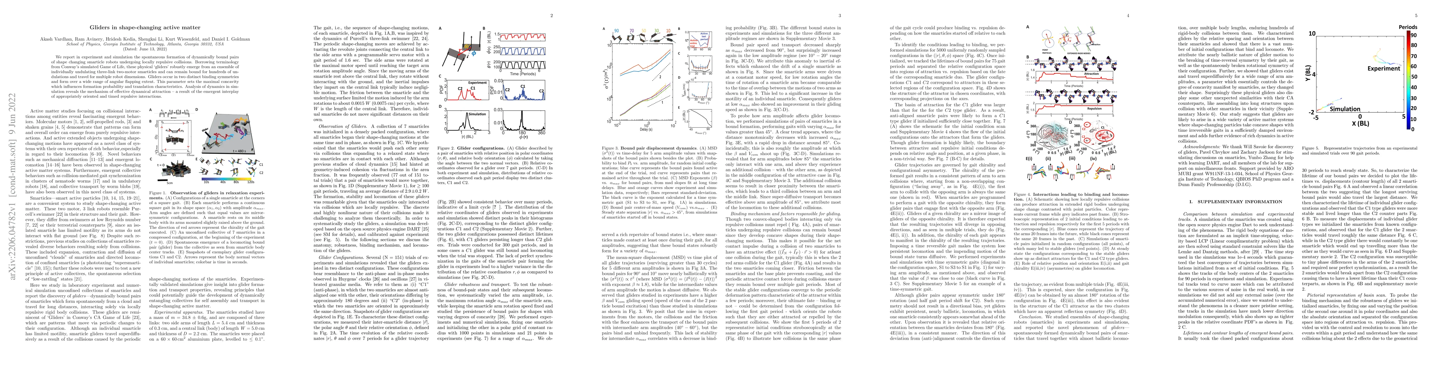 Thumbnail for Gliders in shape-changing active matter