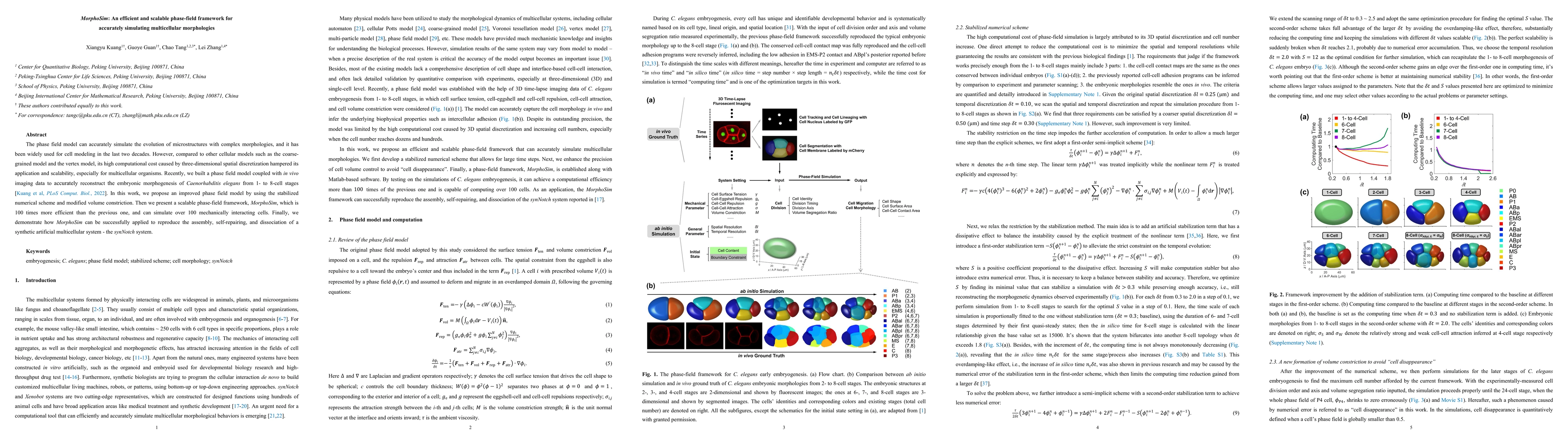 Thumbnail for MorphoSim: An efficient and scalable phase-field framework for
  accurately simulating multicellular morphologies