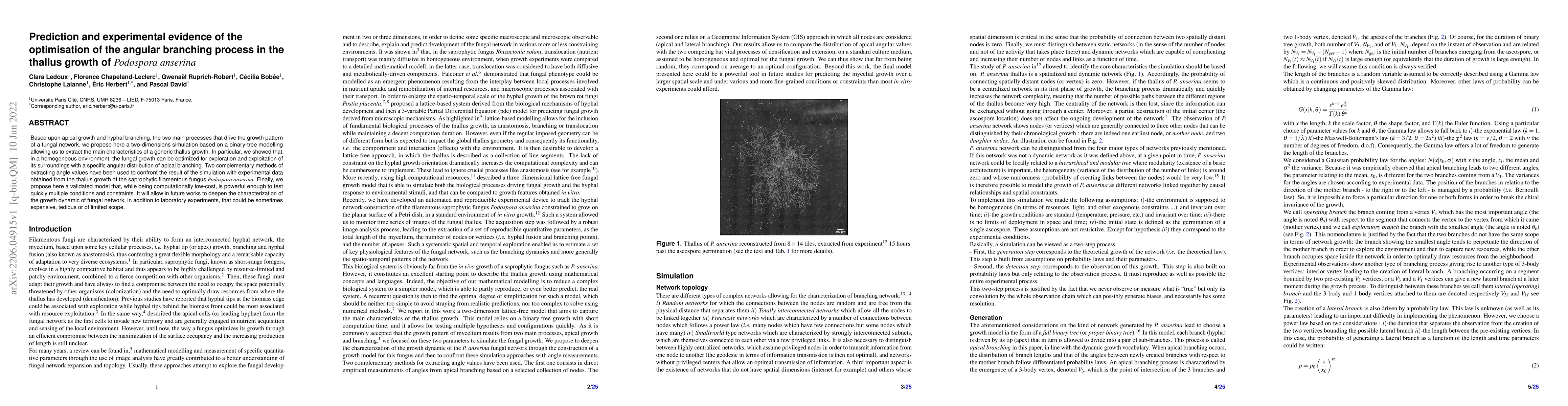 Thumbnail for Prediction and experimental evidence of the optimisation of the angular
  branching process in the thallus growth of Podospora anserina