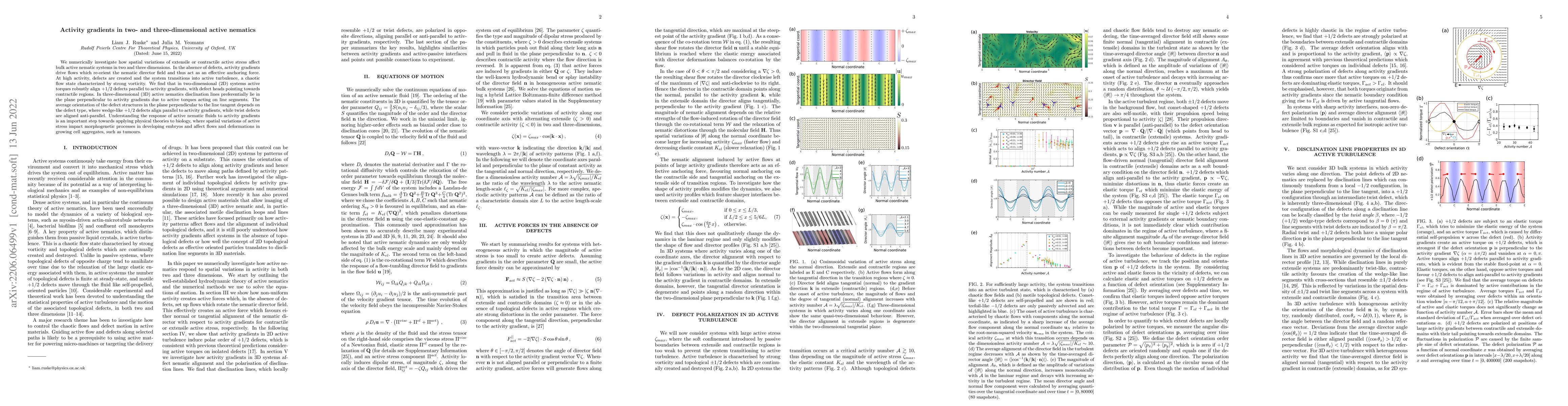 Thumbnail for Activity gradients in two- and three-dimensional active nematics