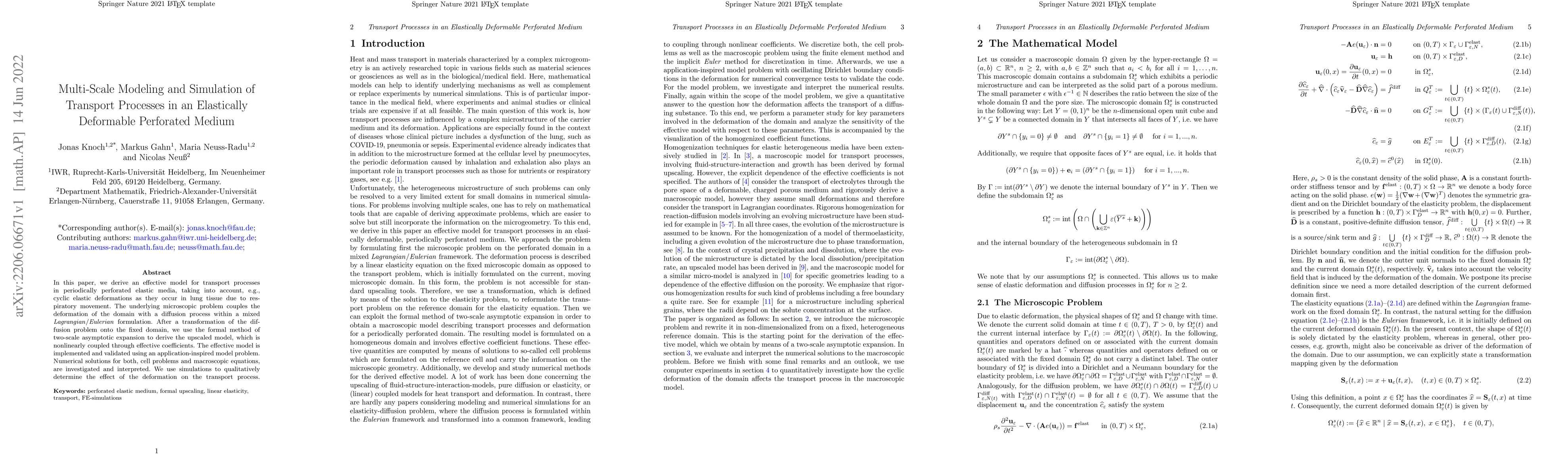 Thumbnail for Multi-Scale Modeling and Simulation of Transport Processes in an
  Elastically Deformable Perforated Medium