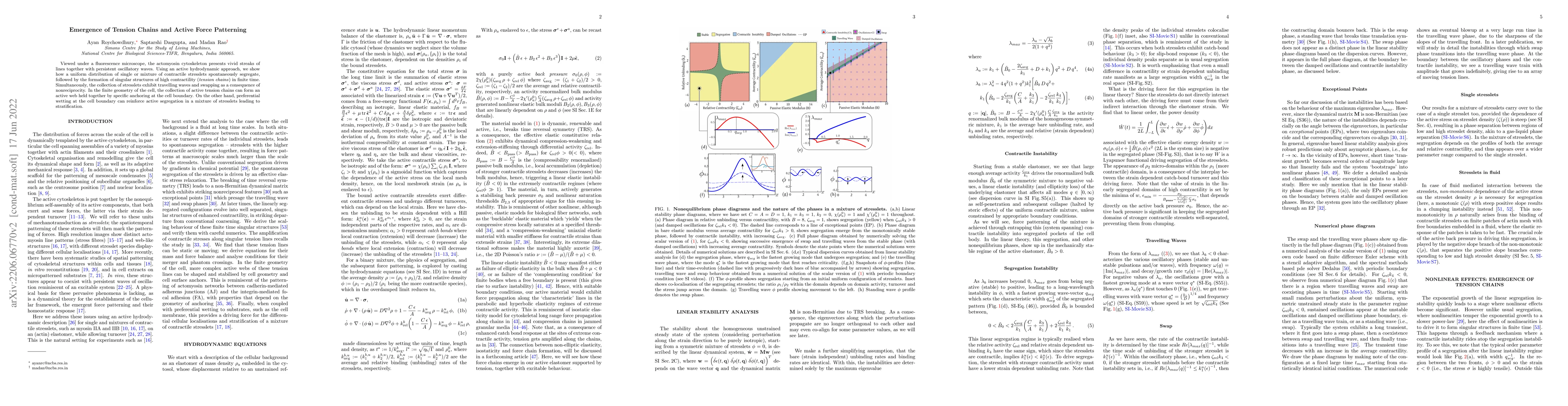 Thumbnail for Emergence of Tension Chains and Active Force Patterning