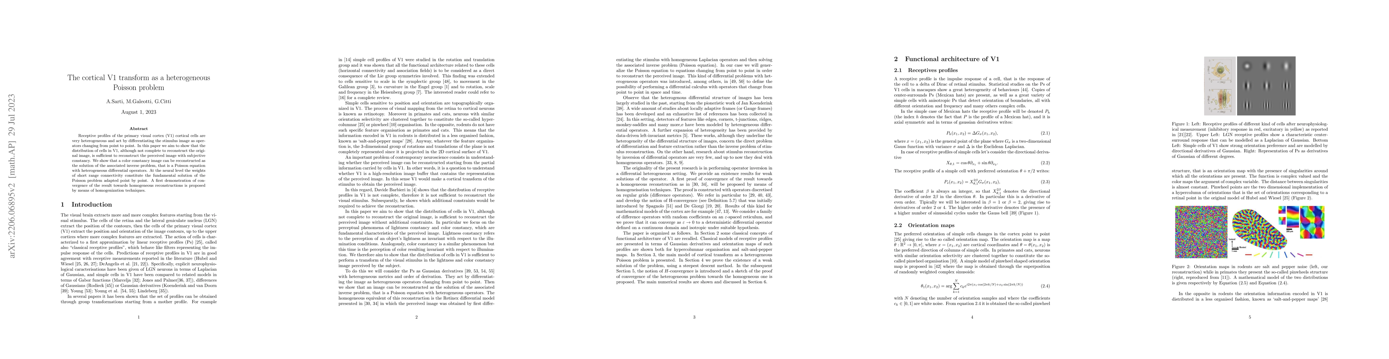 Thumbnail for The cortical V1 transform as a heterogeneous Poisson problem