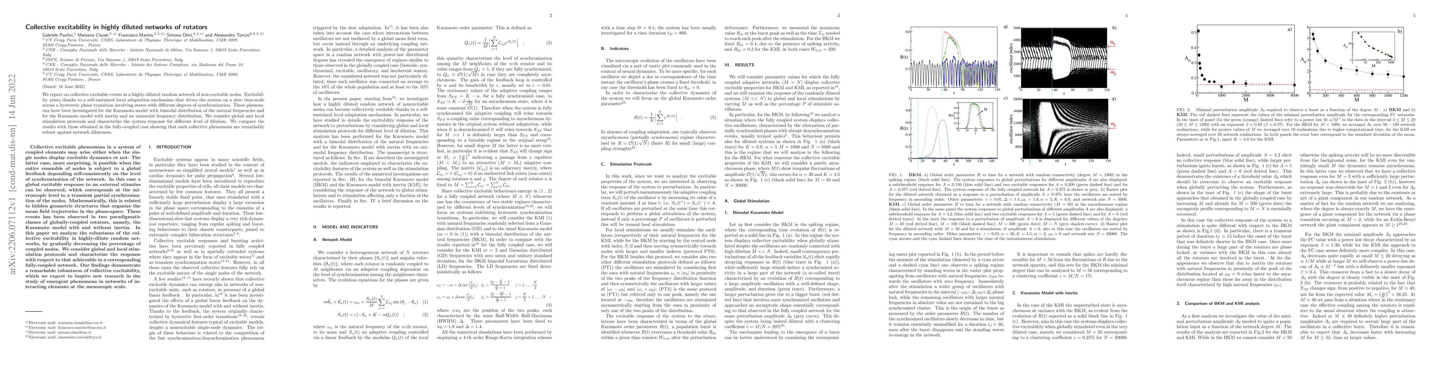 Thumbnail for Collective excitability in highly diluted networks of rotators