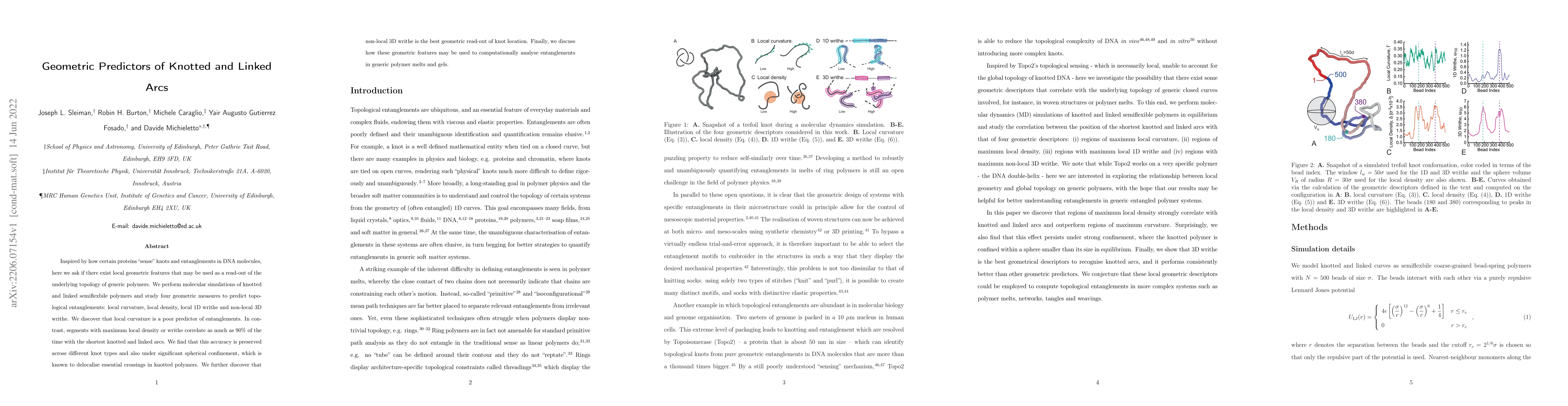 Thumbnail for Geometric Predictors of Knotted and Linked Arcs