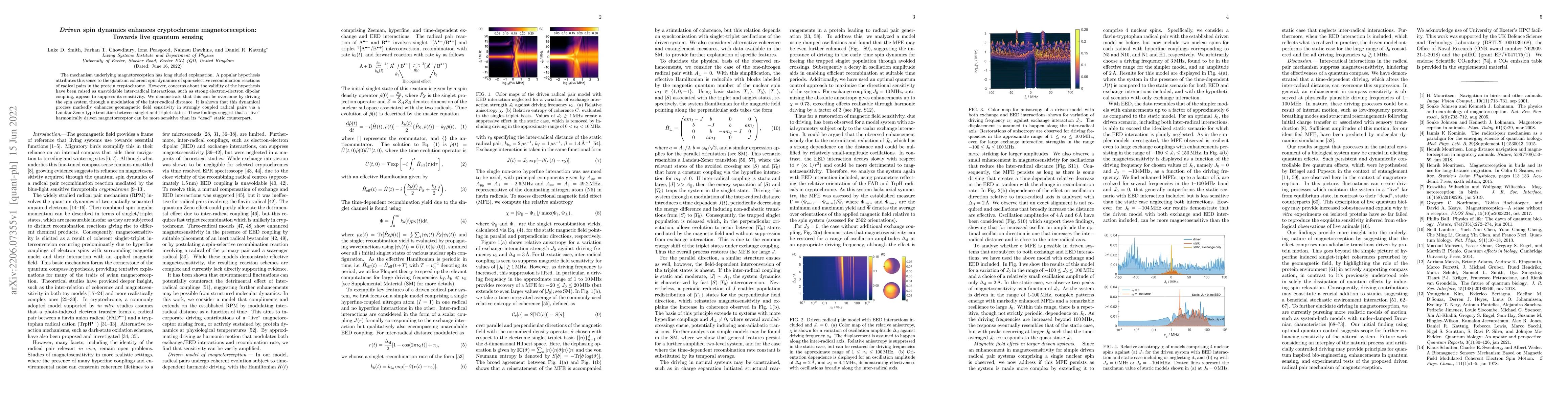 Thumbnail for Driven spin dynamics enhances cryptochrome magnetoreception: Towards
  live quantum sensing