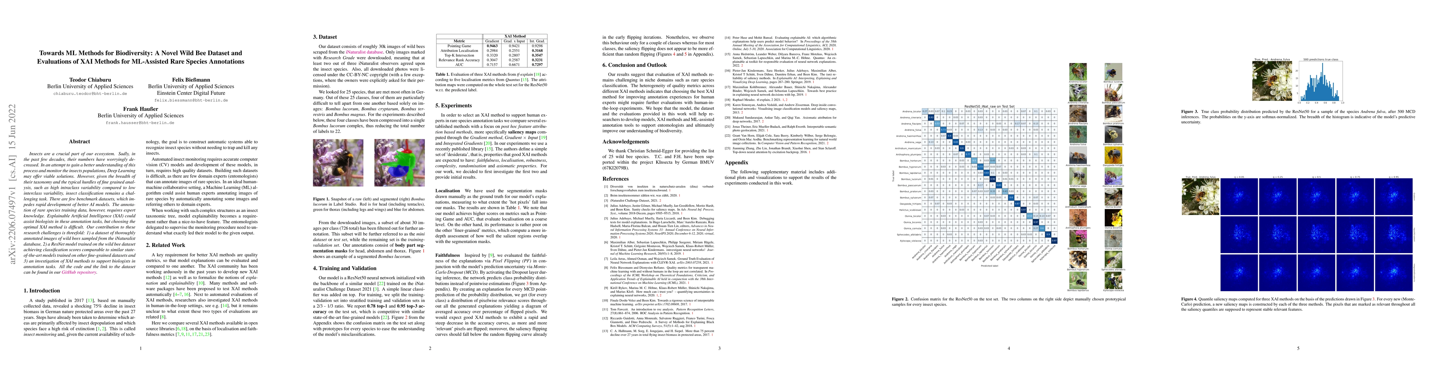 Thumbnail for Towards ML Methods for Biodiversity: A Novel Wild Bee Dataset and
  Evaluations of XAI Methods for ML-Assisted Rare Species Annotations
