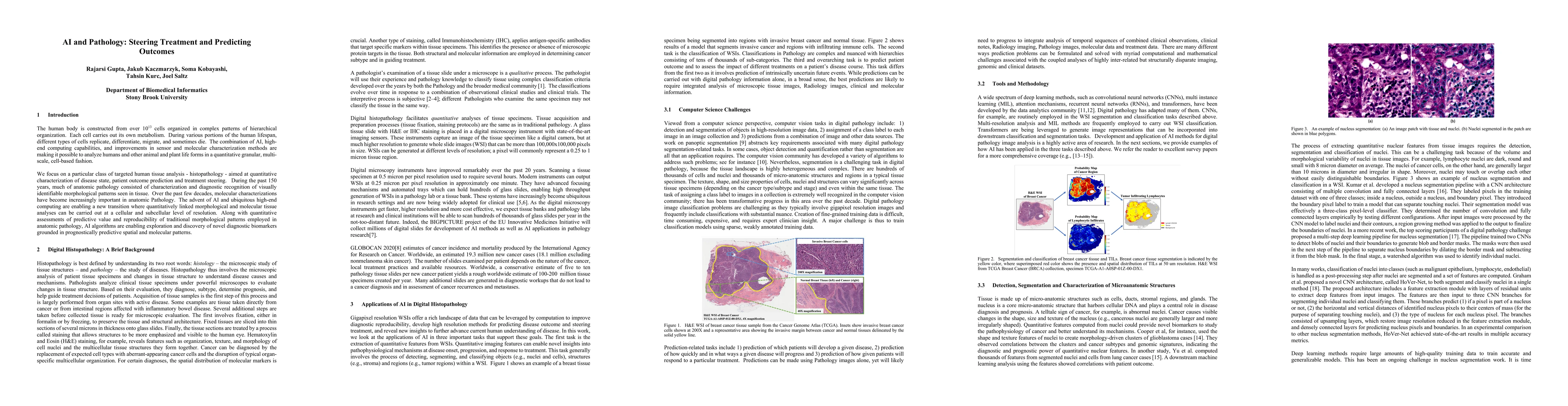 Thumbnail for AI and Pathology: Steering Treatment and Predicting Outcomes