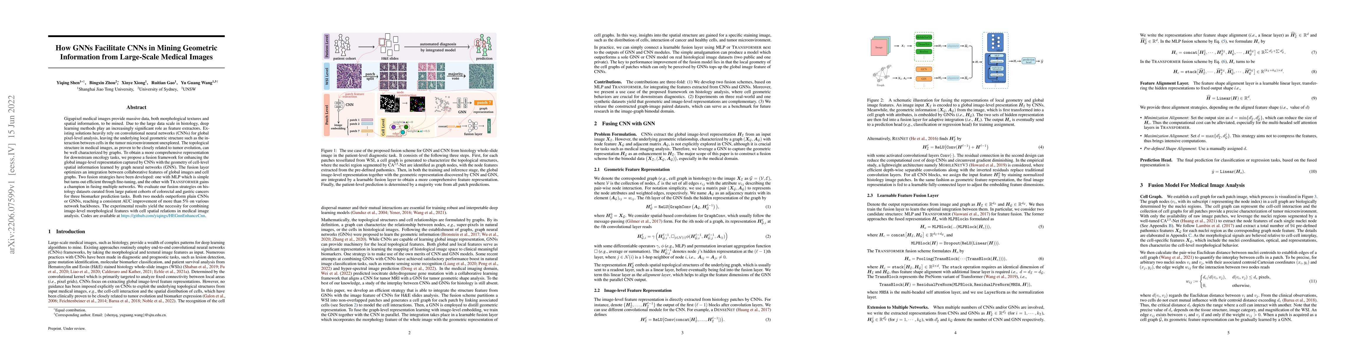 Thumbnail for How GNNs Facilitate CNNs in Mining Geometric Information from
  Large-Scale Medical Images