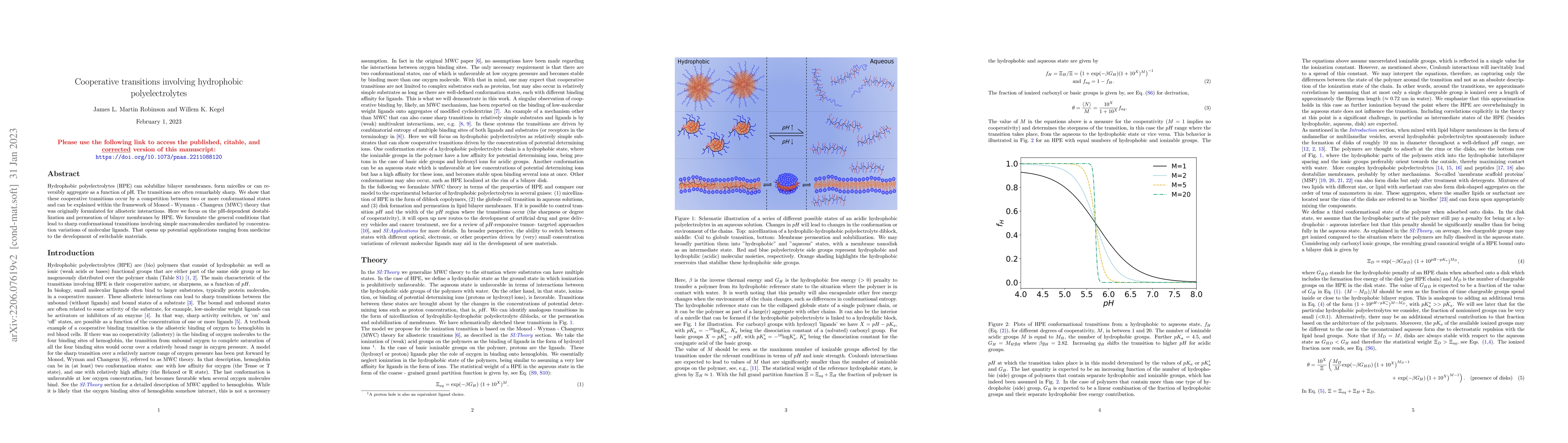 Thumbnail for Cooperative transitions involving hydrophobic polyelectrolytes