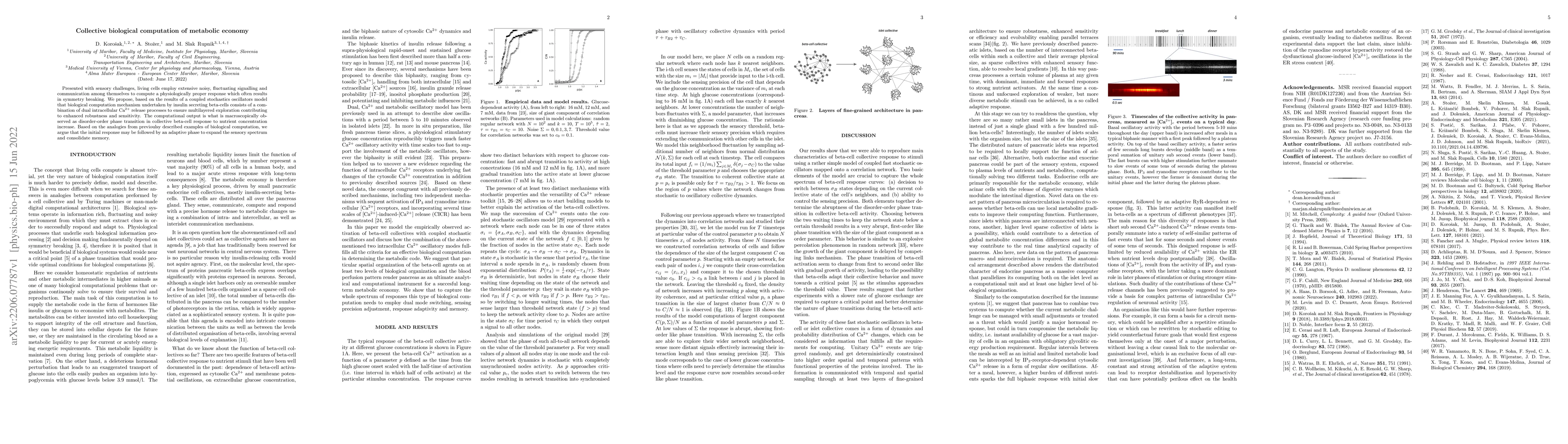 Thumbnail for Collective biological computation of metabolic economy