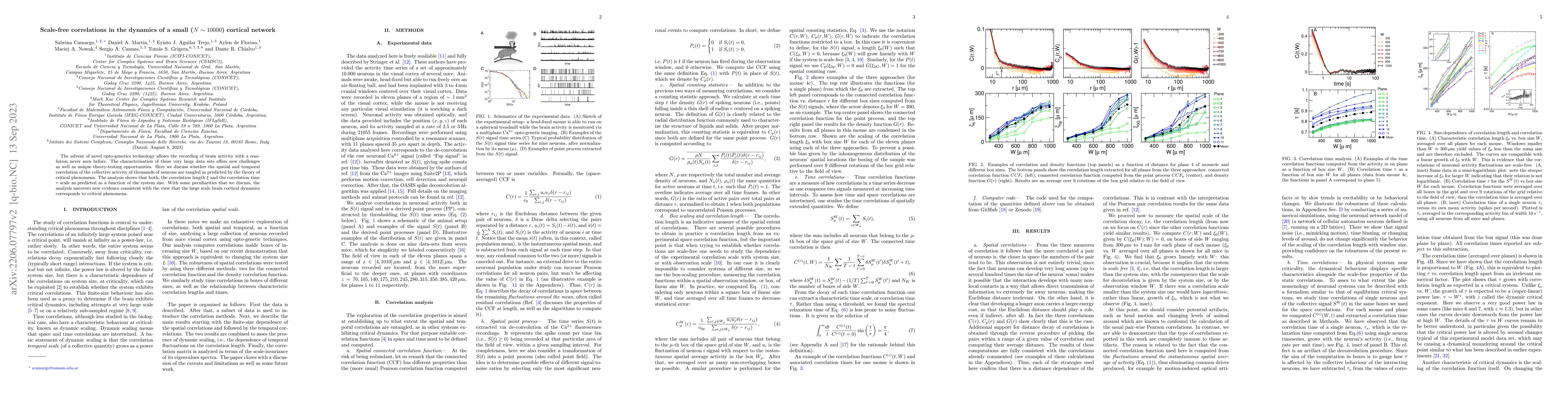 Thumbnail for Scale-free correlations in the dynamics of a small (N ~ 10000) cortical
  network