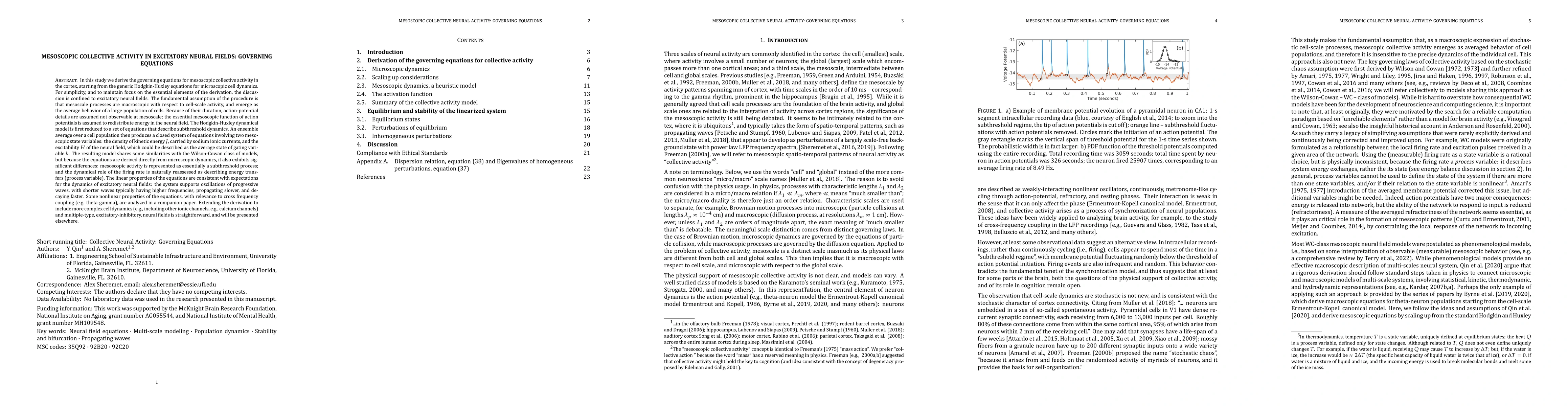 Thumbnail for Mesoscopic Collective Activity in Excitatory Neural Fields: Governing
  Equations
