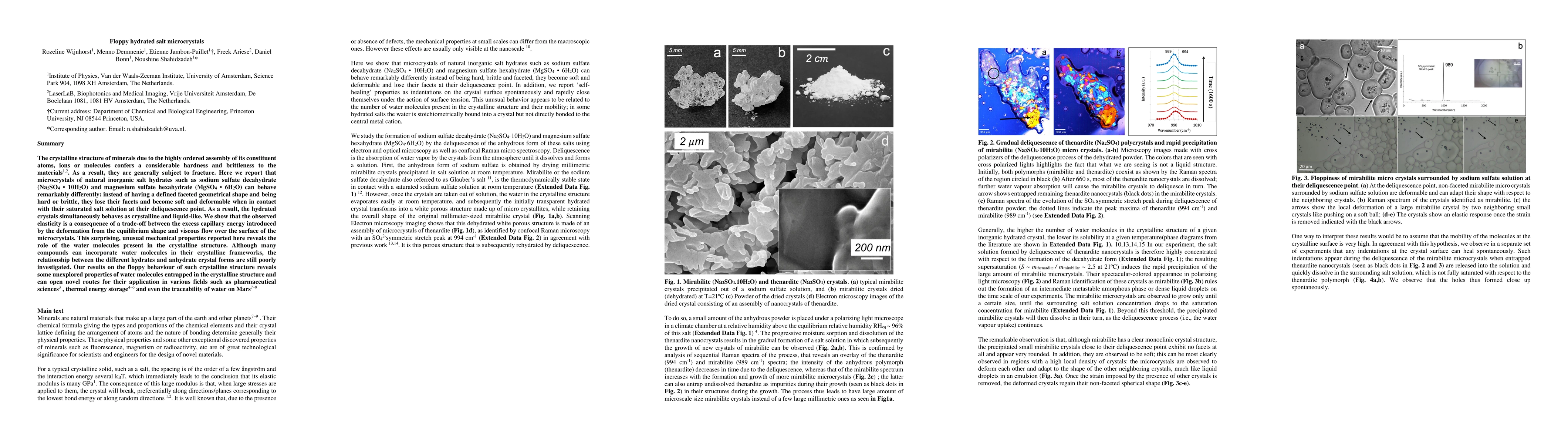 Thumbnail for Floppy hydrated salt microcrystals