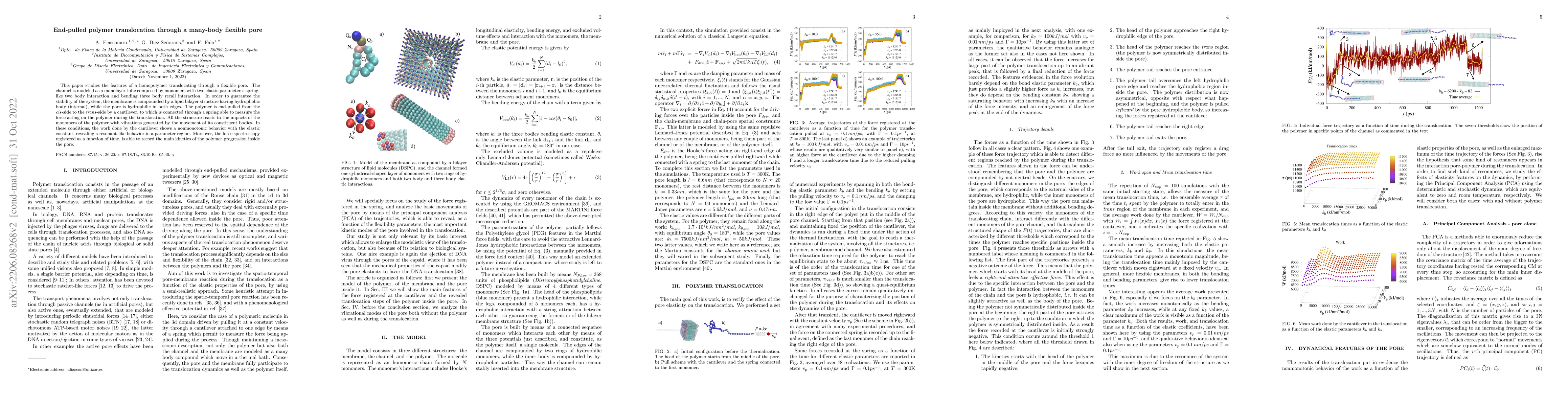 Thumbnail for End-pulled polymer translocation through a many-body flexible pore