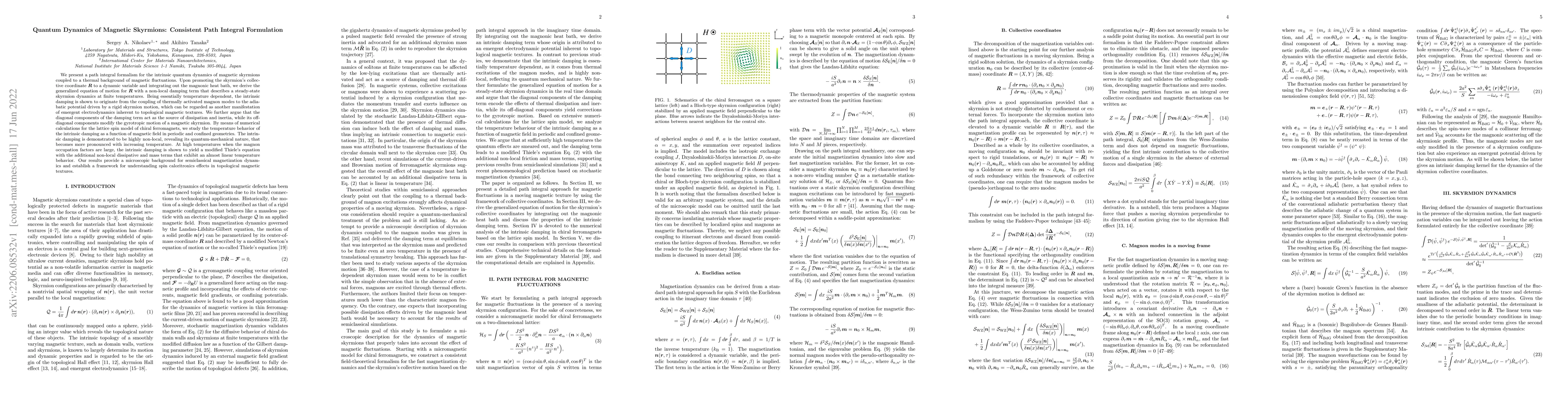 Thumbnail for Quantum Dynamics of Magnetic Skyrmions: Consistent Path Integral
  Formulation