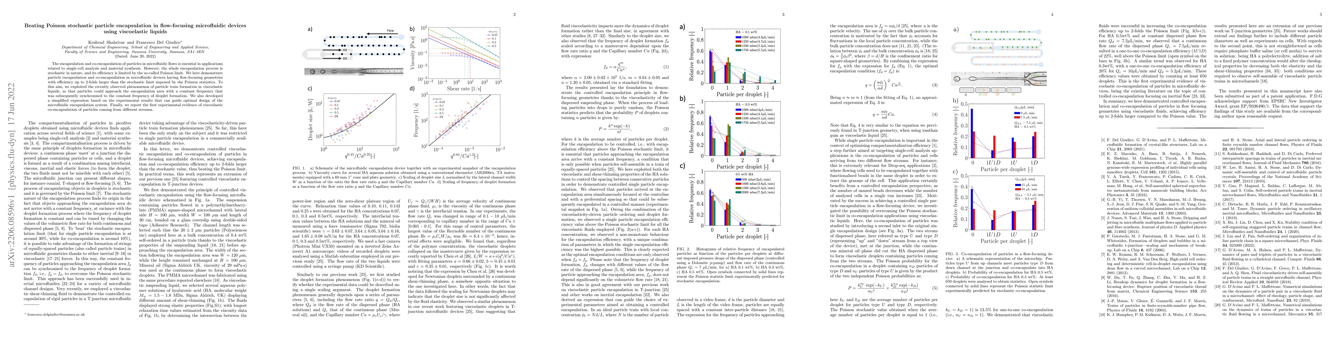 Thumbnail for Beating Poisson stochastic particle encapsulation in flow-focusing
  microfluidic devices using viscoelastic liquids