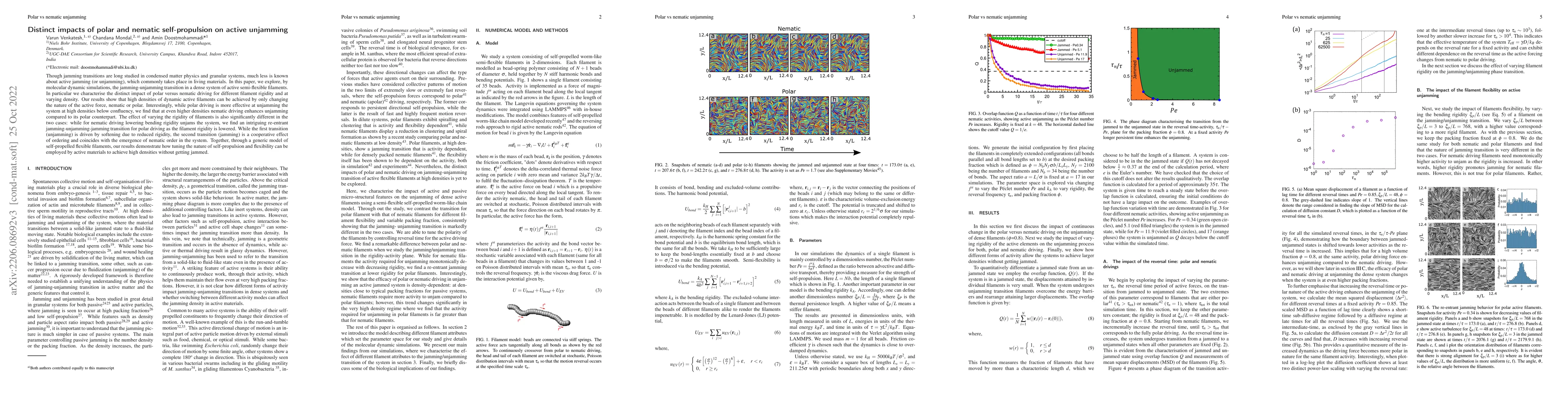 Thumbnail for Distinct impacts of polar and nematic self-propulsion on active
  unjamming