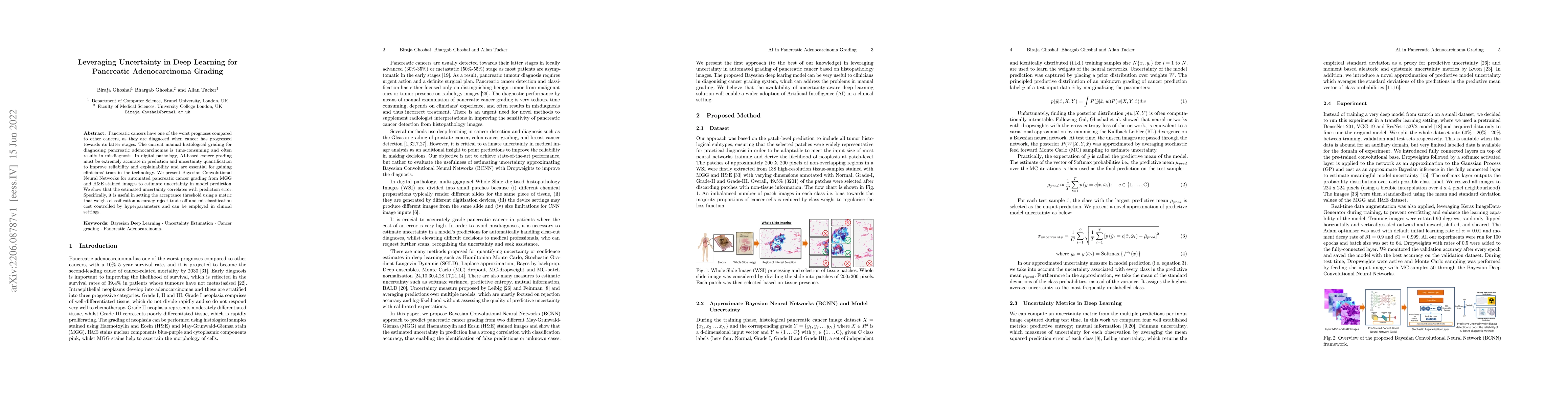 Thumbnail for Leveraging Uncertainty in Deep Learning for Pancreatic Adenocarcinoma
  Grading