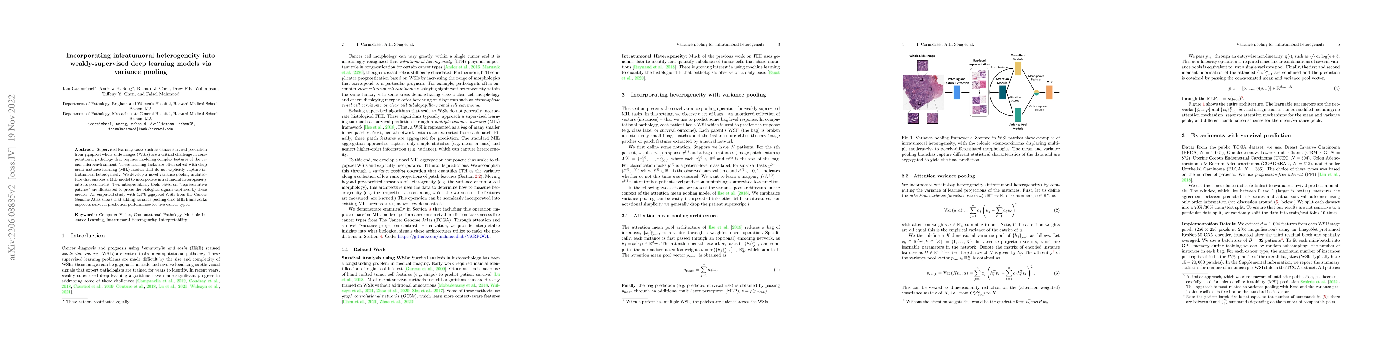 Thumbnail for Incorporating intratumoral heterogeneity into weakly-supervised deep
  learning models via variance pooling