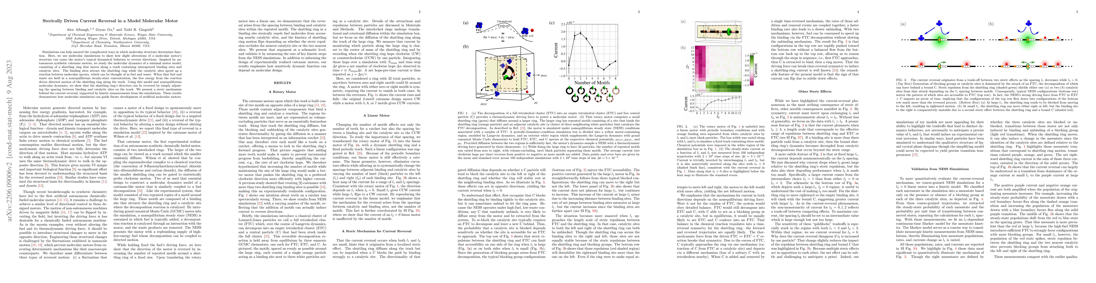 Thumbnail for Sterically Driven Current Reversal in a Model Molecular Motor