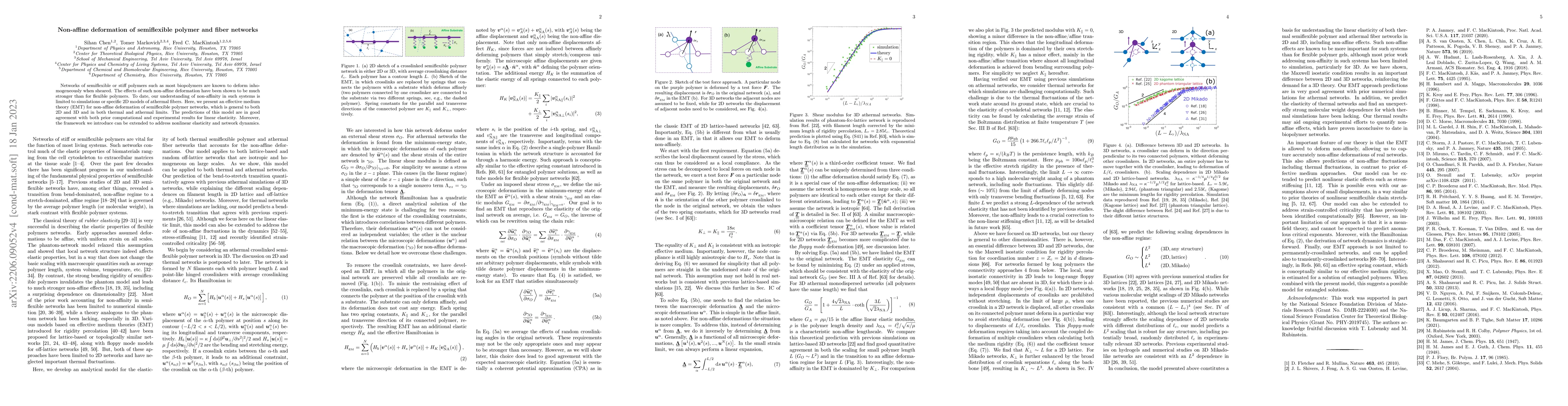 Thumbnail for Non-affine deformation of semiflexible polymer and fiber networks