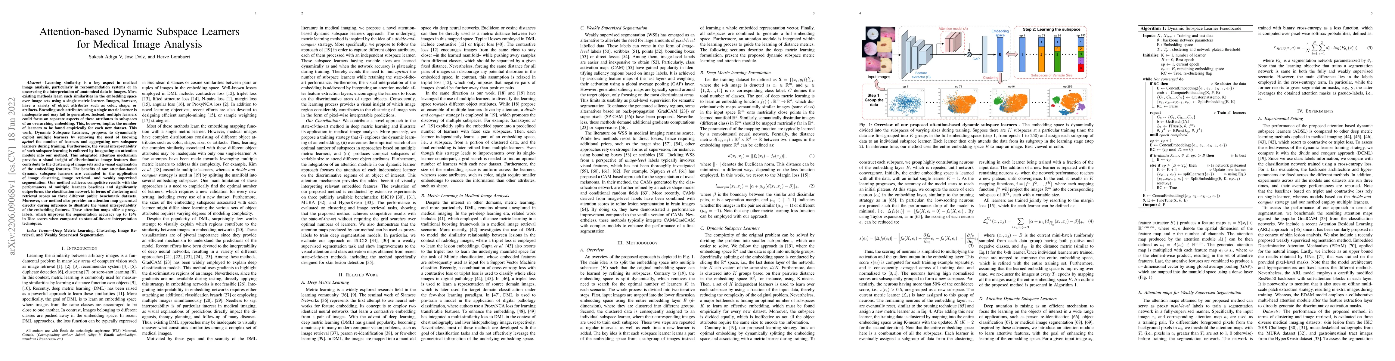 Thumbnail for Attention-based Dynamic Subspace Learners for Medical Image Analysis