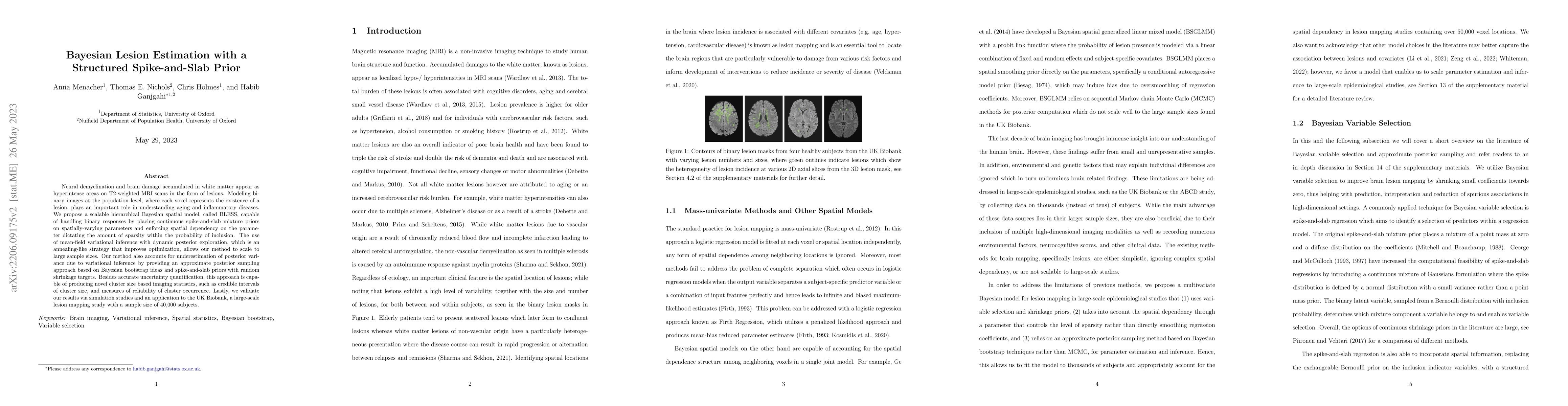 Thumbnail for Bayesian Lesion Estimation with a Structured Spike-and-Slab Prior