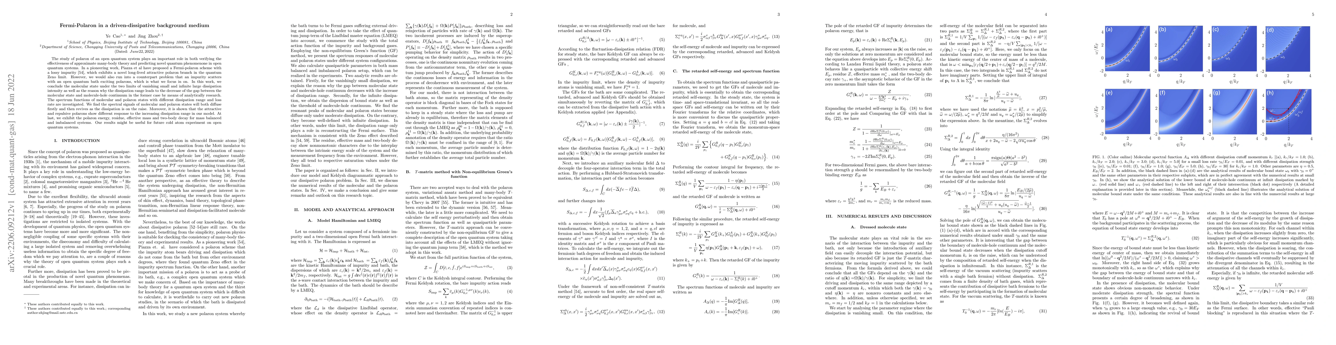 Thumbnail for Fermi-Polaron in a driven-dissipative background medium
