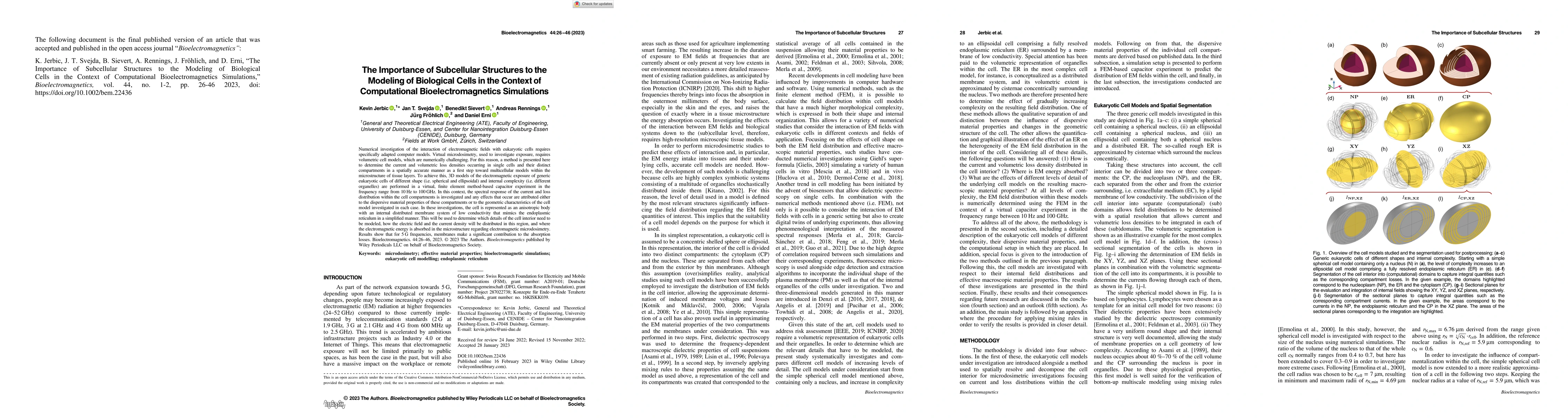 Thumbnail for The Importance of Subcellular Structures to the Modeling of Biological
  Cells in the Context of Computational Bioelectromagnetics Simulations