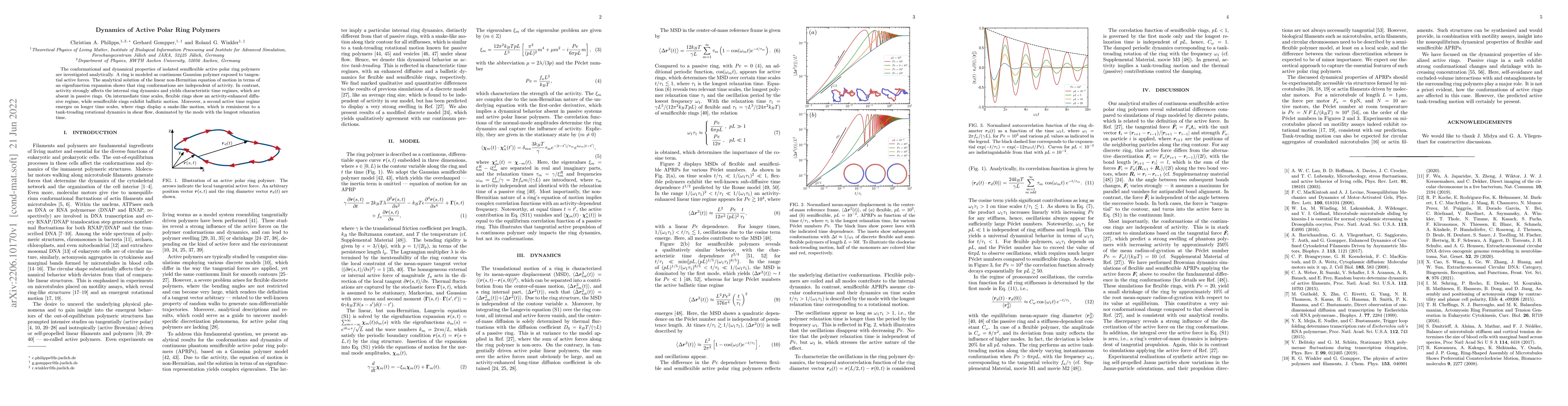 Thumbnail for Dynamics of Active Polar Ring Polymers