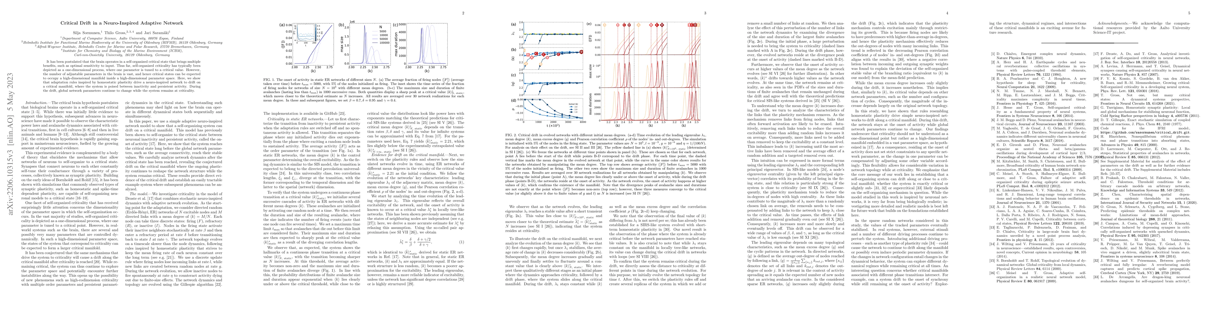 Thumbnail for Critical drift in a neuro-inspired adaptive network