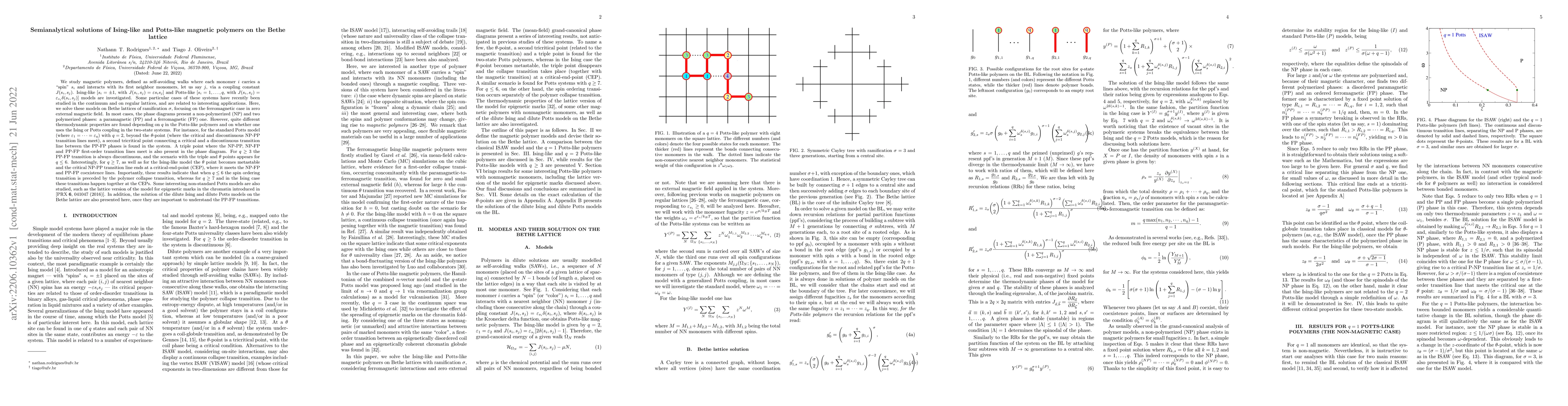 Thumbnail for Semianalytical solutions of Ising-like and Potts-like magnetic polymers
  on the Bethe lattice