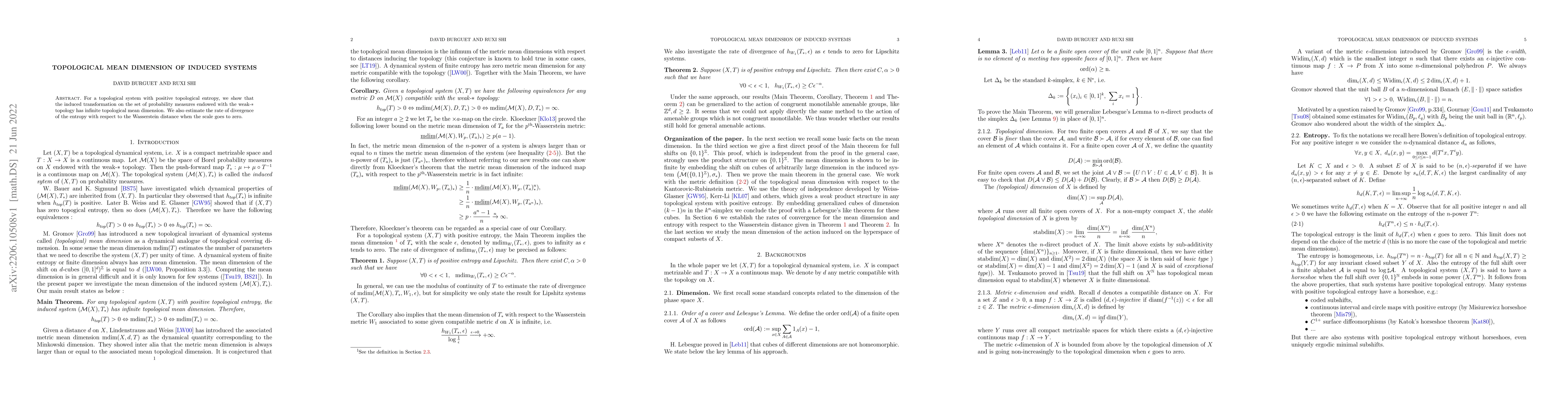 Thumbnail for Topological mean dimension of induced systems