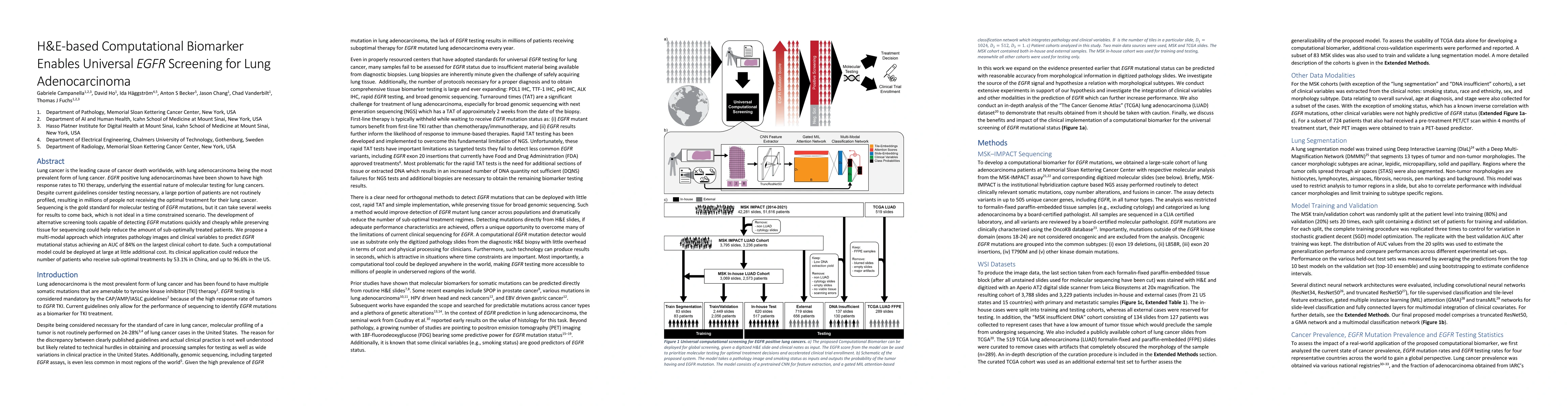 Thumbnail for H&E-based Computational Biomarker Enables Universal EGFR Screening for
  Lung Adenocarcinoma