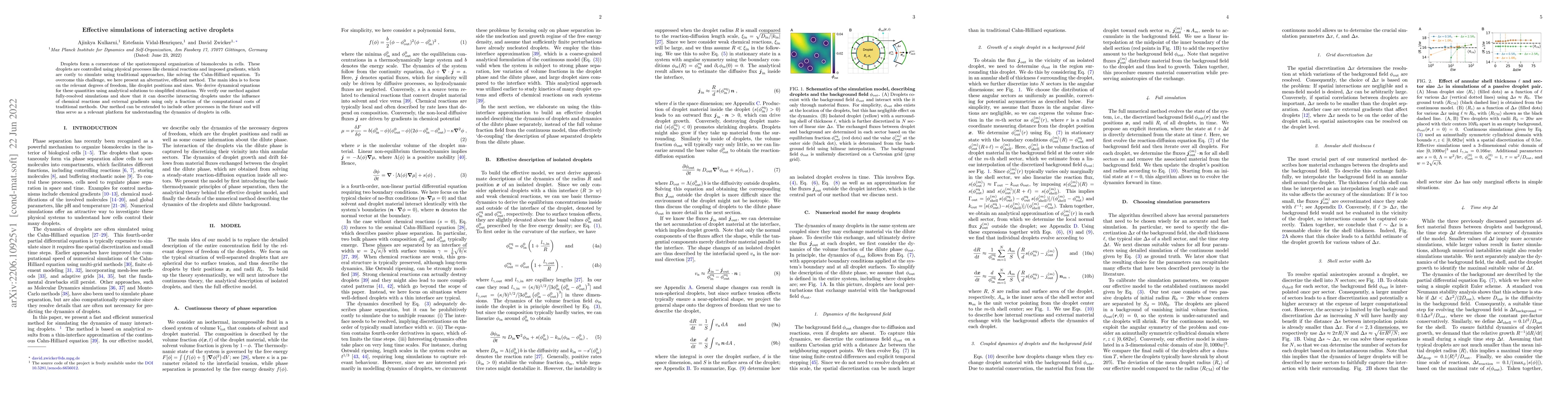Thumbnail for Effective simulations of interacting active droplets