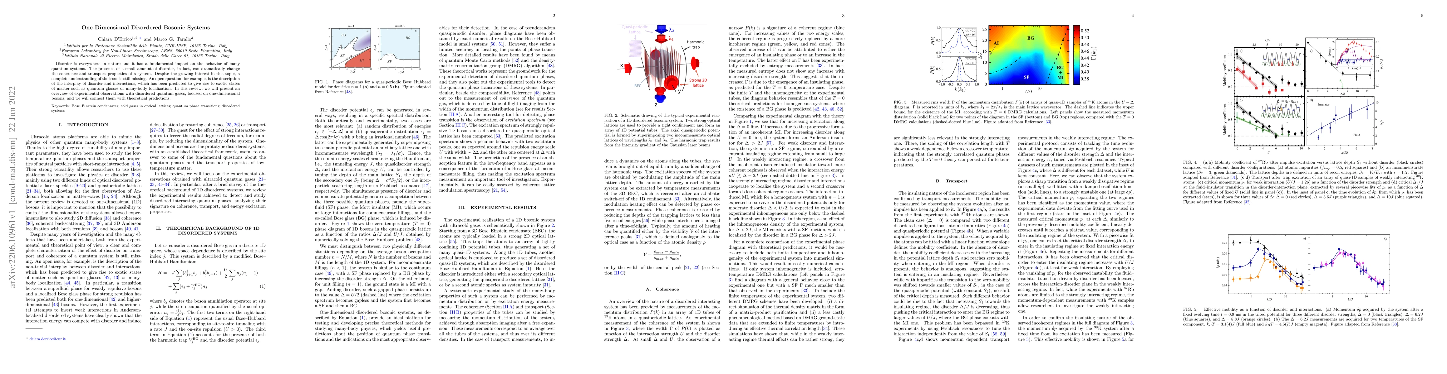 Thumbnail for One-Dimensional Disordered Bosonic Systems