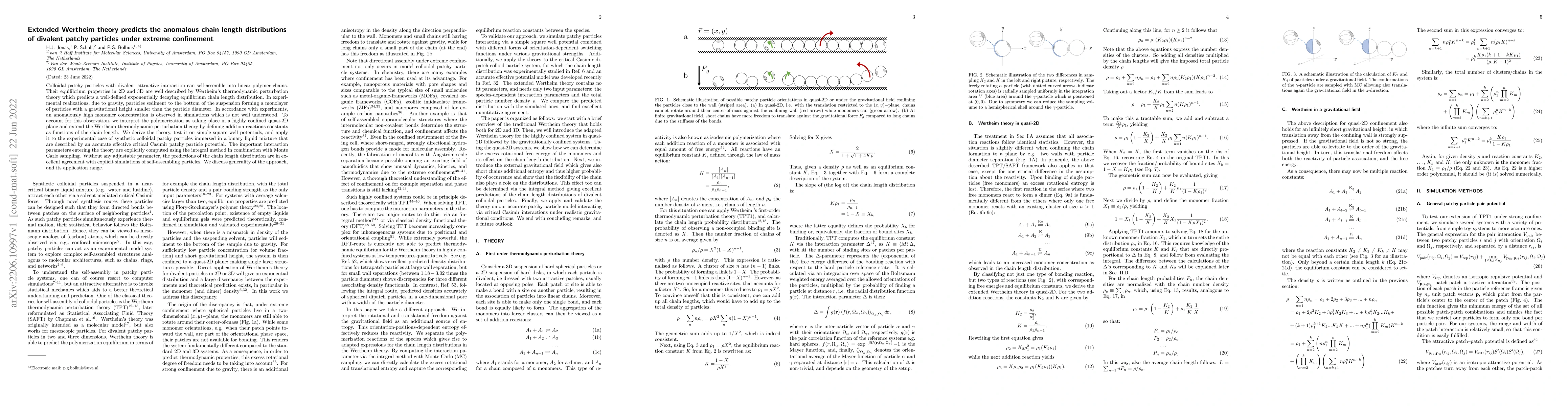 Thumbnail for Extended Wertheim theory predicts the anomalous chain length
  distributions of divalent patchy particles under extreme confinement
