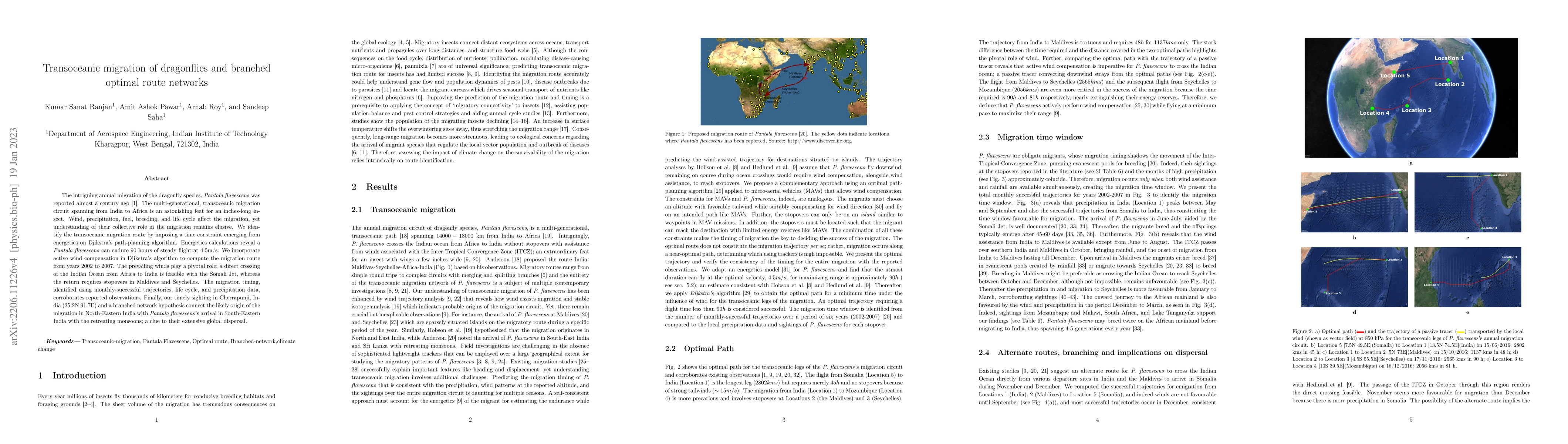 Thumbnail for Transoceanic migration of dragonflies and branched optimal route
  networks