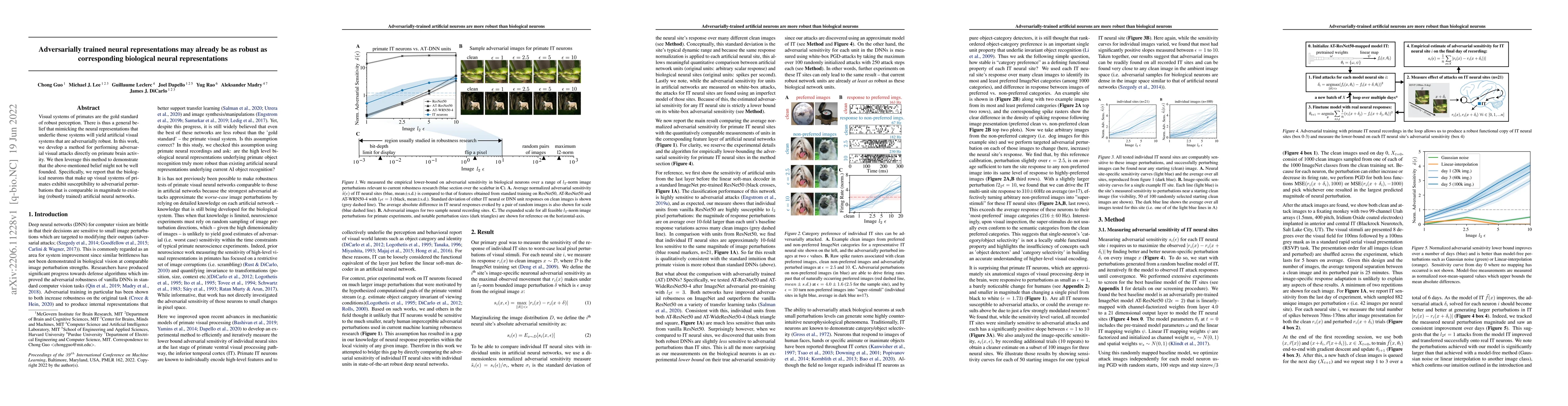 Thumbnail for Adversarially trained neural representations may already be as robust as
  corresponding biological neural representations