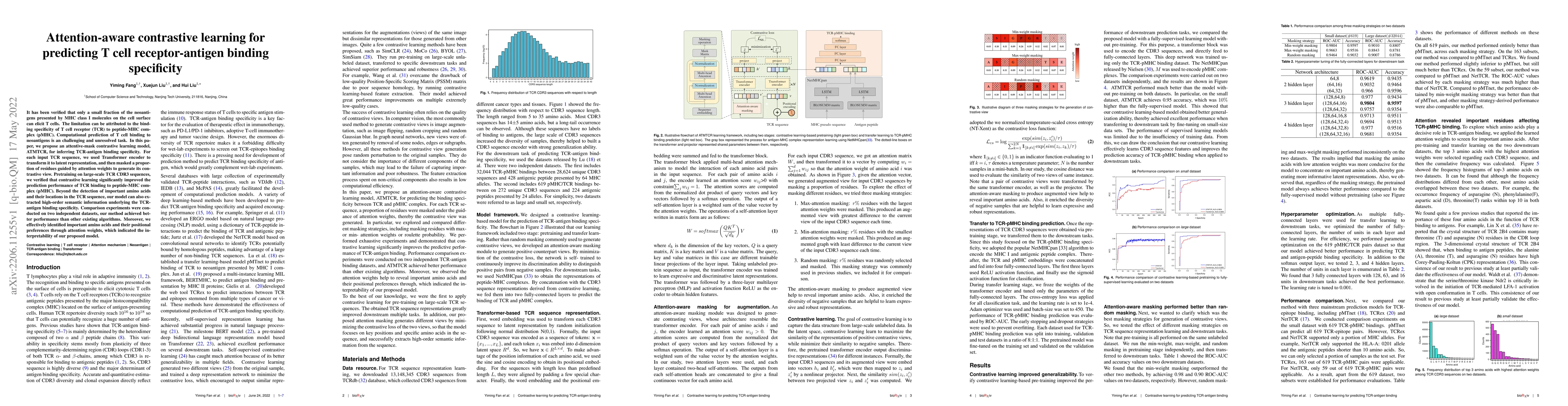 Thumbnail for Attention-aware contrastive learning for predicting T cell
  receptor-antigen binding specificity