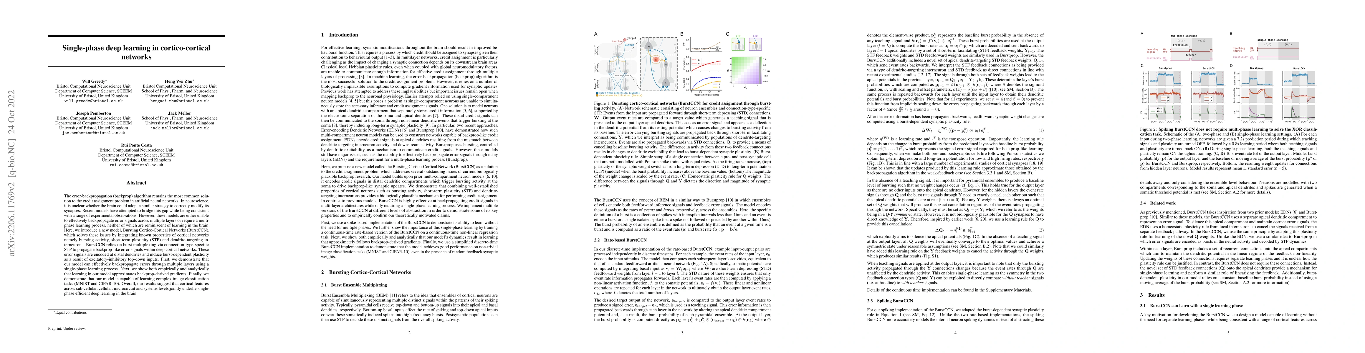 Thumbnail for Single-phase deep learning in cortico-cortical networks