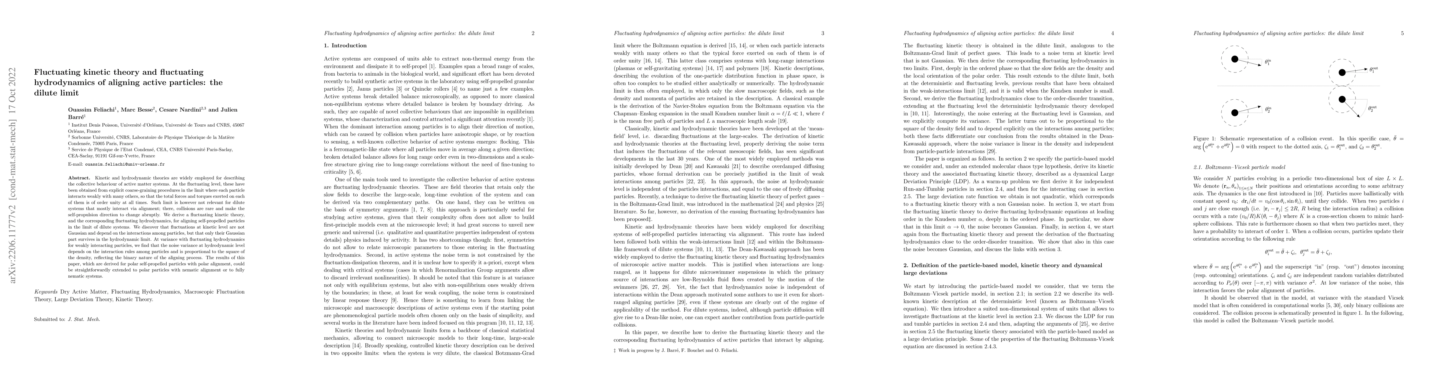 Thumbnail for Fluctuating kinetic theory and fluctuating hydrodynamics of aligning
  active particles: the dilute limit