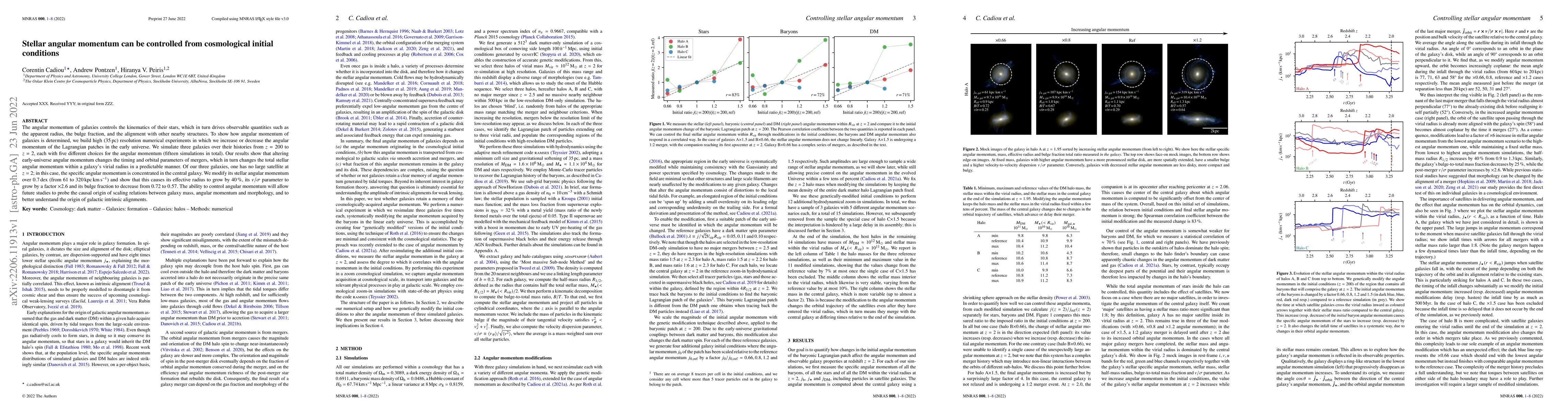 Thumbnail for Stellar angular momentum can be controlled from cosmological initial
  conditions