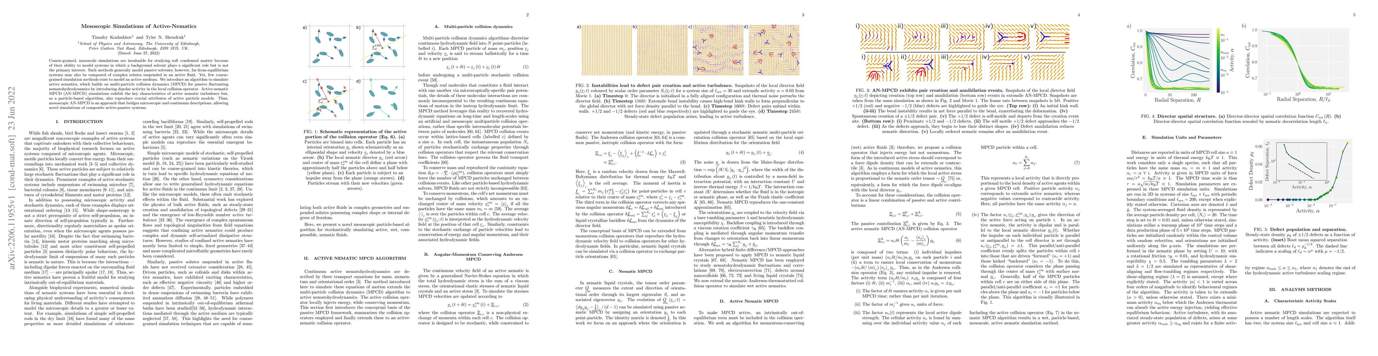 Thumbnail for Mesoscopic Simulations of Active-Nematics