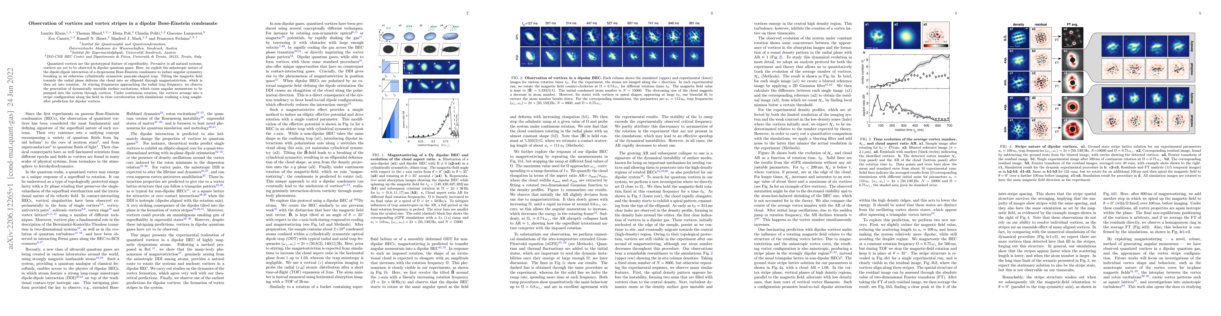 Thumbnail for Observation of vortices and vortex stripes in a dipolar Bose-Einstein
  condensate