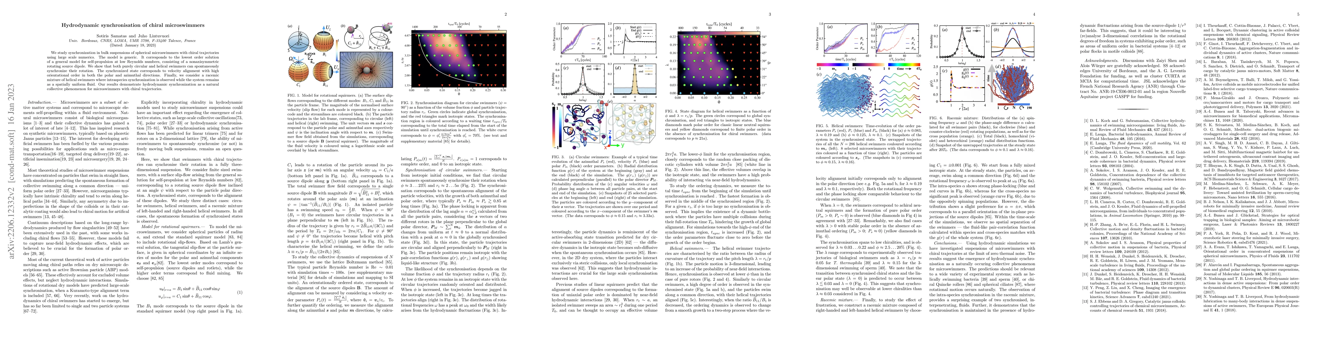 Thumbnail for Hydrodynamic Synchronisation of Chiral Microswimmers